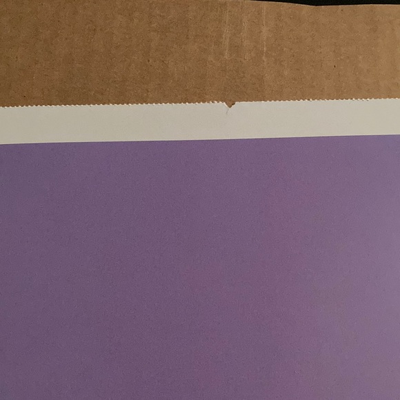 Disney Mr Toad’s Wild Ride Poster - Picture 6 of 6